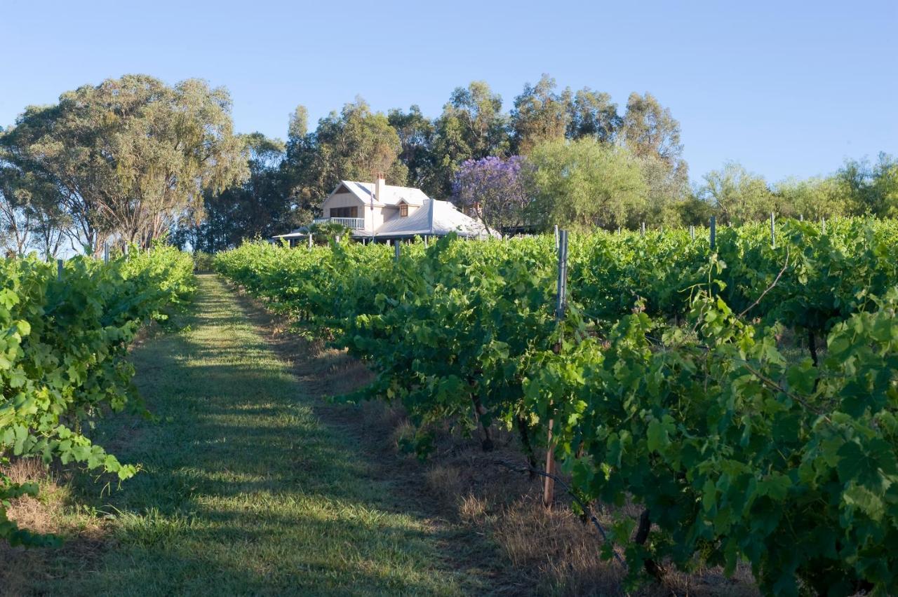 Spicers Vineyards Estate 호텔 포콜빈 외부 사진